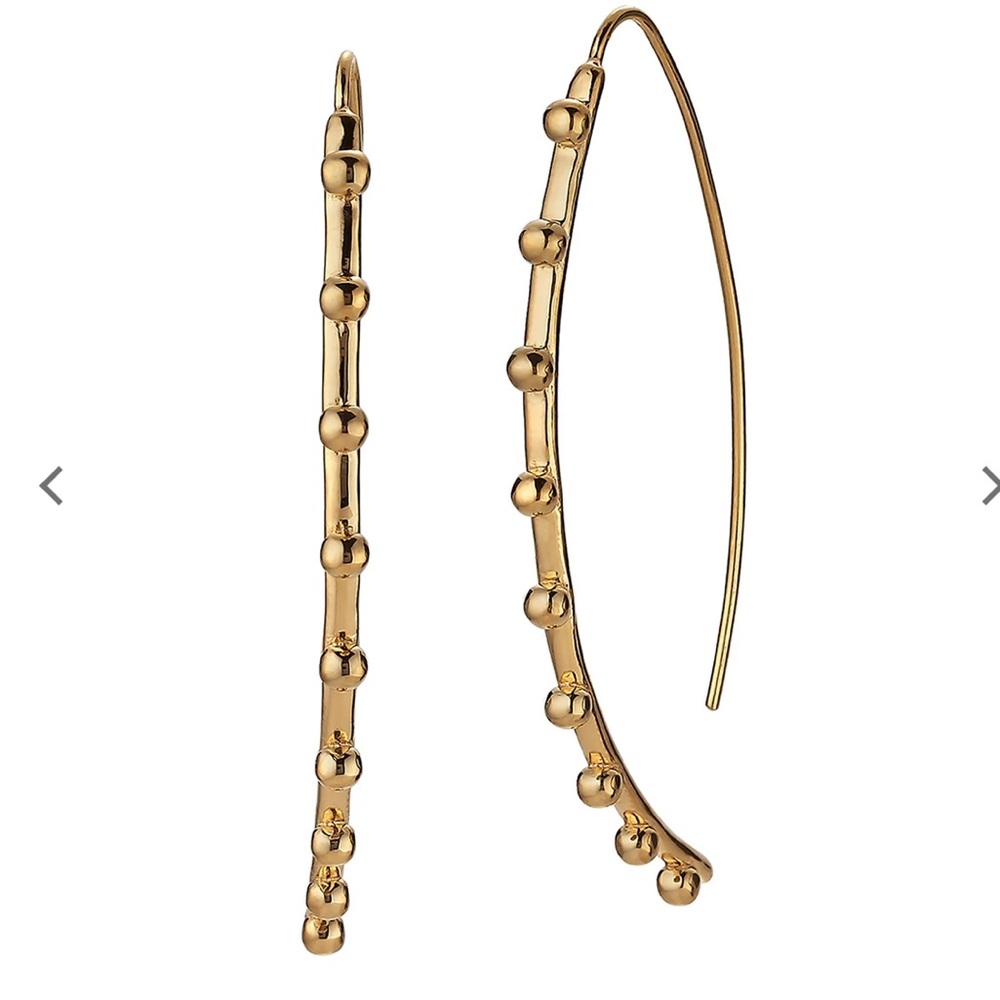 Asha Emilia Large Gold Earrings